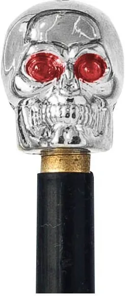 Pegas CAPAC VALVA CRANIU CSA-C11 2BUC ARG-ROS