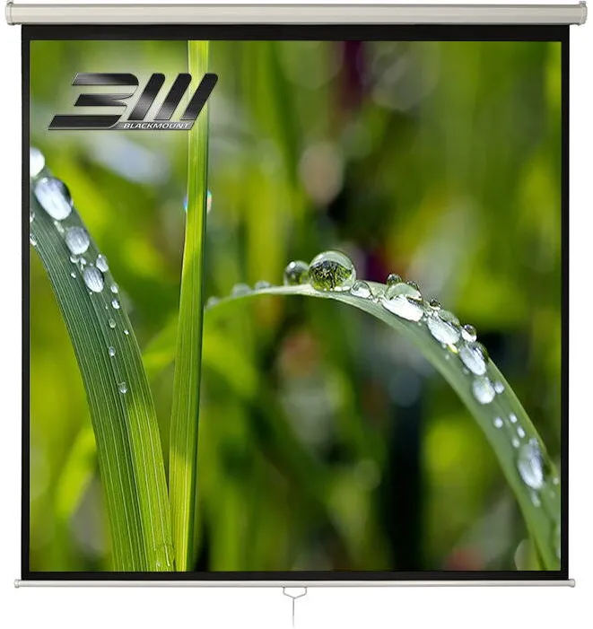 Ecran de proiectie Blackmount 1/1MN300-BM-ECRPER, 300 x 300 cm