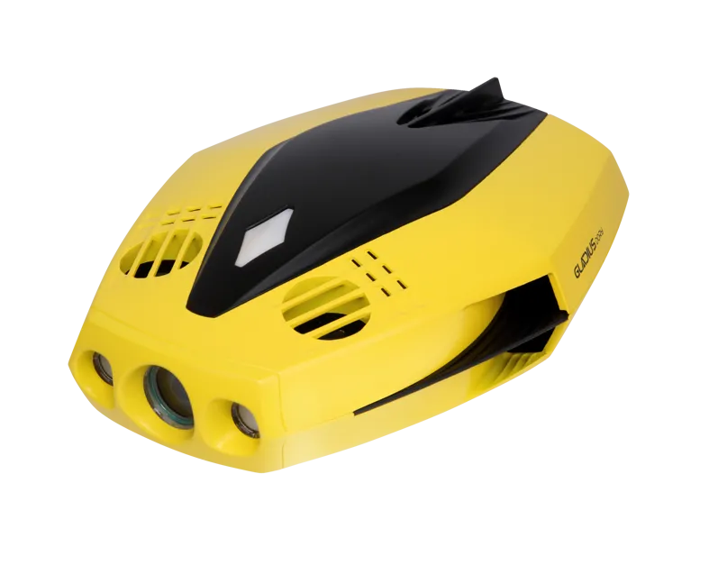 CHASING-INNOVATION Chasing Dory