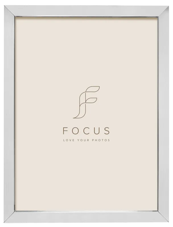 Rama foto FOCUS Ivy Silver 18x24