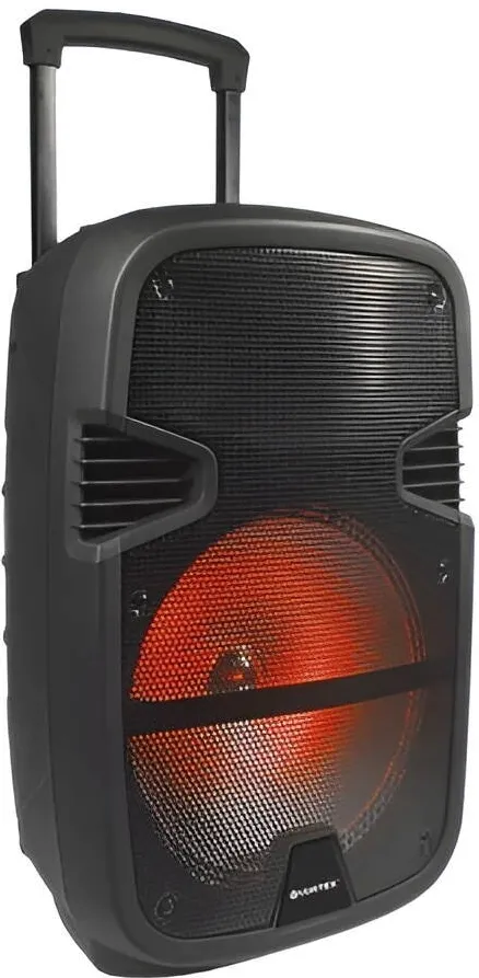 Vortex Boxa portabila VORTEX VO2619, 50W RMS, Bluetooth, Radio FM, negru
