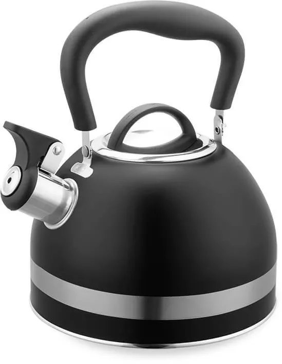 Maestro Fierbator 1,8L