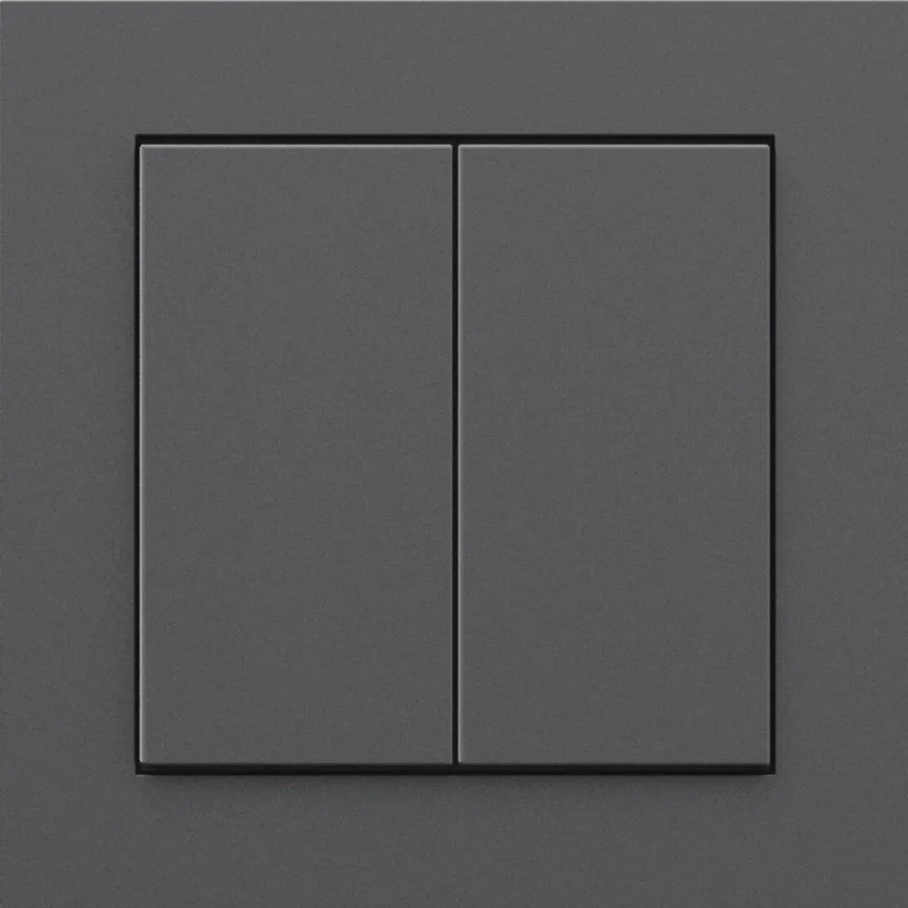 Senic Friends of Hue Smart Switch, switch (anthracite)