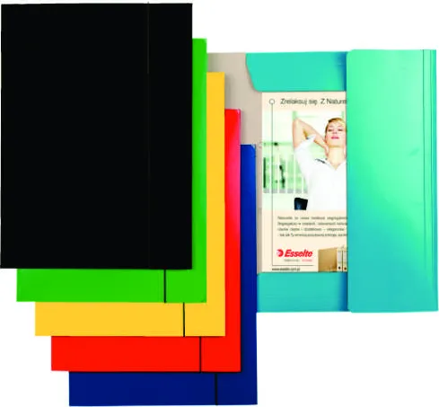 Esselte Mapa din carton plastifiat cu elastic, Esselte Economy - negru