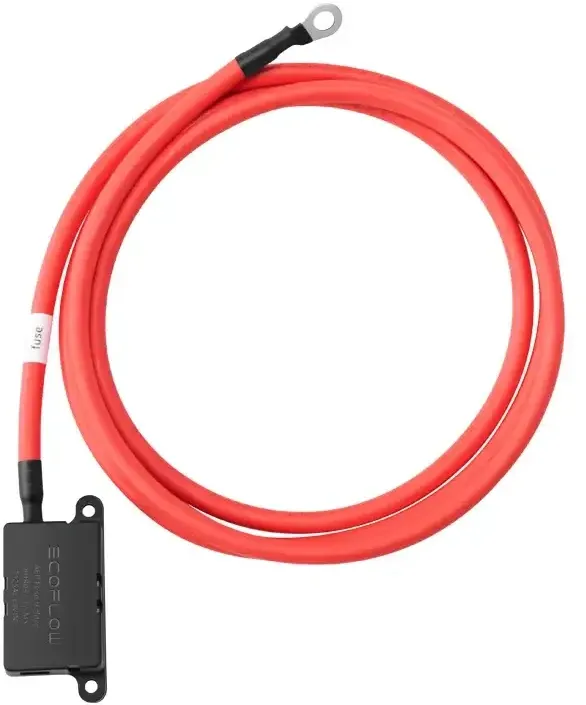 EcoFlow Alternator Charger Extended Fuse Cable (2m)