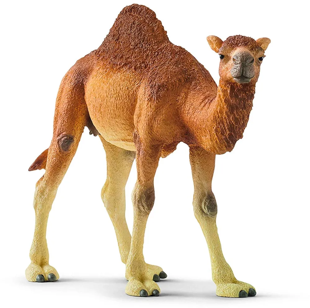 Schleich Wild Life Dromedary - 14832