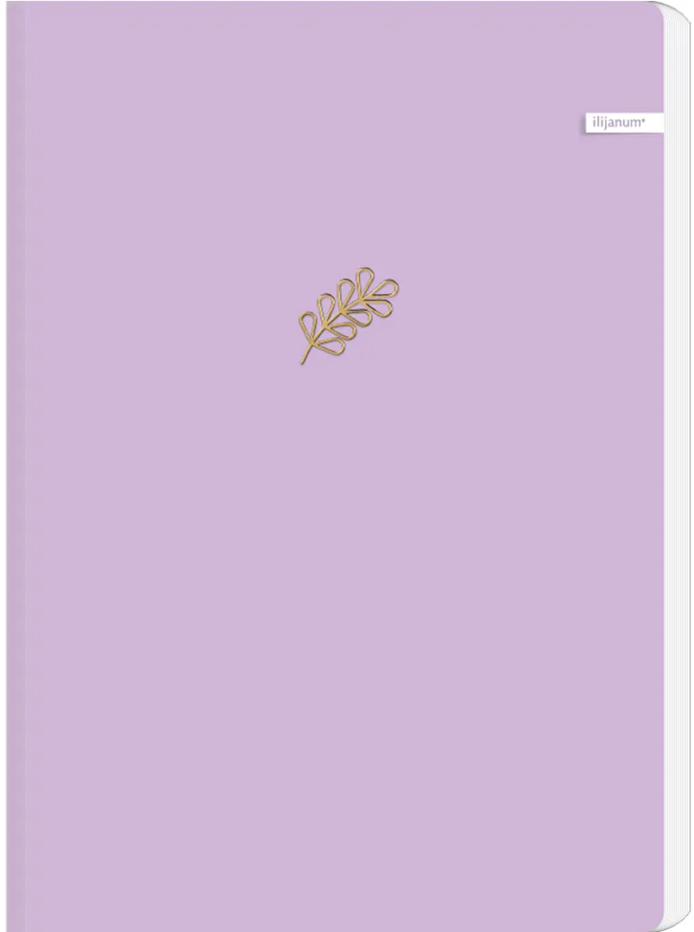 Caiet Ilijanum, A5, 96 file, 70 g/mp, dictando, soft touch
