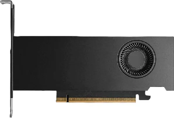 NVIDIA RTX PRO 2000 Blackwell (LP) (4x Mini DisplayPort, Retail)
