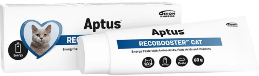 Supliment nutritiv pentru pisici Aptus Recobooster 60 g