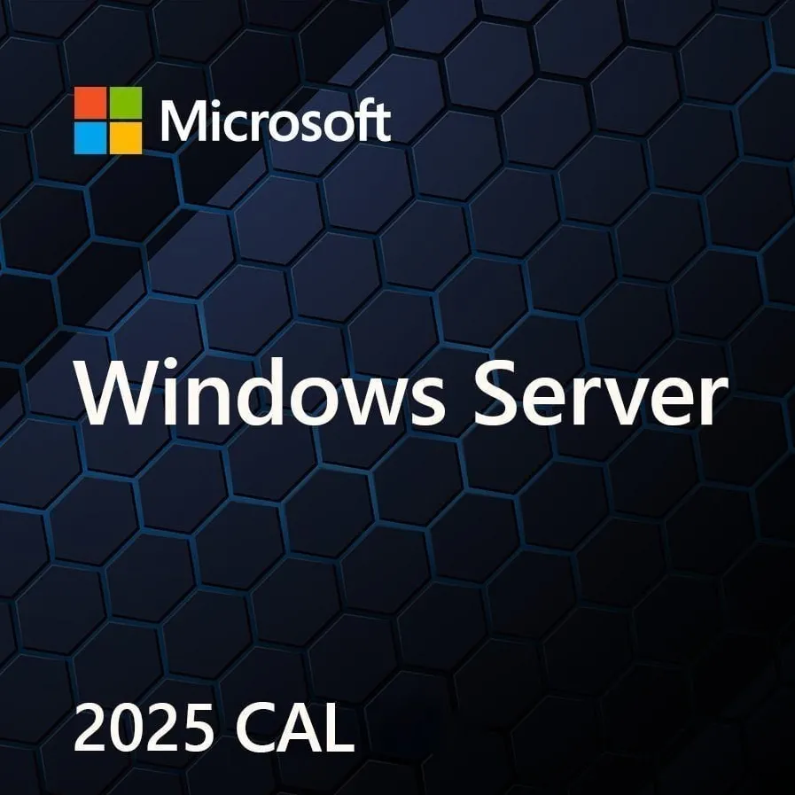 MS Windows Svr CAL 2025 PL 5Clt Device CAL OEM