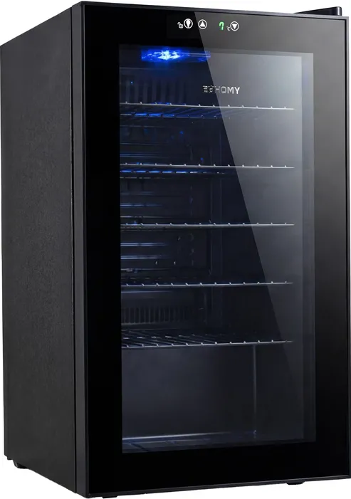 Euhomy BR001-89 Frigider pentru expunerea băuturilor, 70 l (negru)