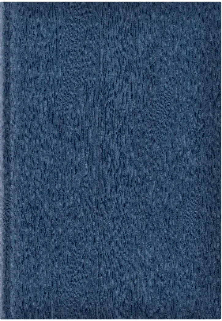 Agenda Vivione A5, nedatata, hartie offset alb, coperta albastru