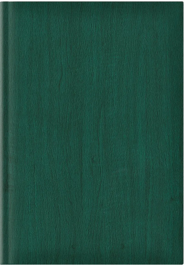 Agenda Vivione A5, nedatata, hartie offset alb, coperta verde