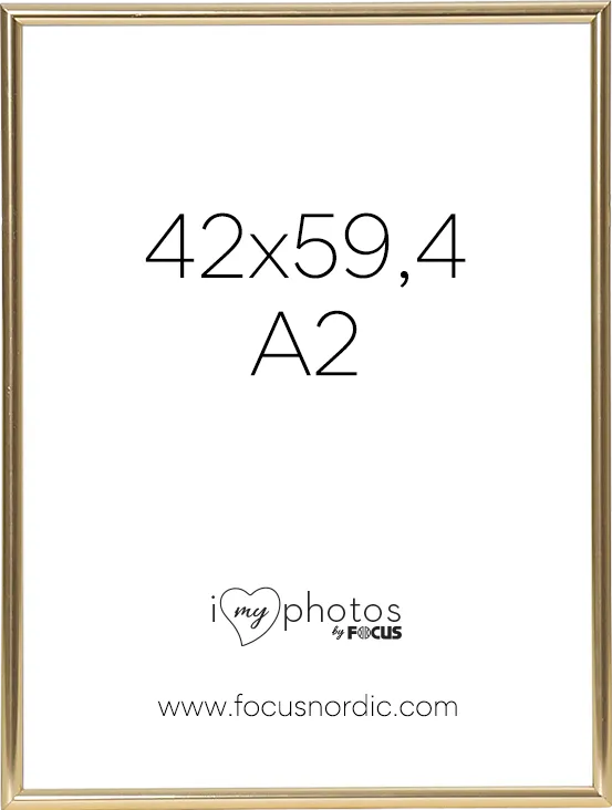Rama foto FOCUS Can-Can Shiny Gold 42x59,4 (A2)