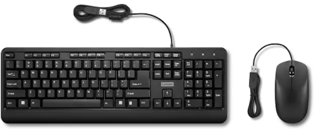 Kit Periferice Lenovo Lenovo Accessories 160 Wired Combo