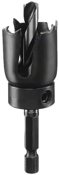 BOSCH 2609256D01 - Carota pentru lemn, 25  mm, tija hexagonala, adaptor cu burghiu de centrare