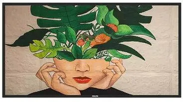 Monitor Philips 50BDL4511D - 127 cm (50") - 3840 x 2160 4K UHD