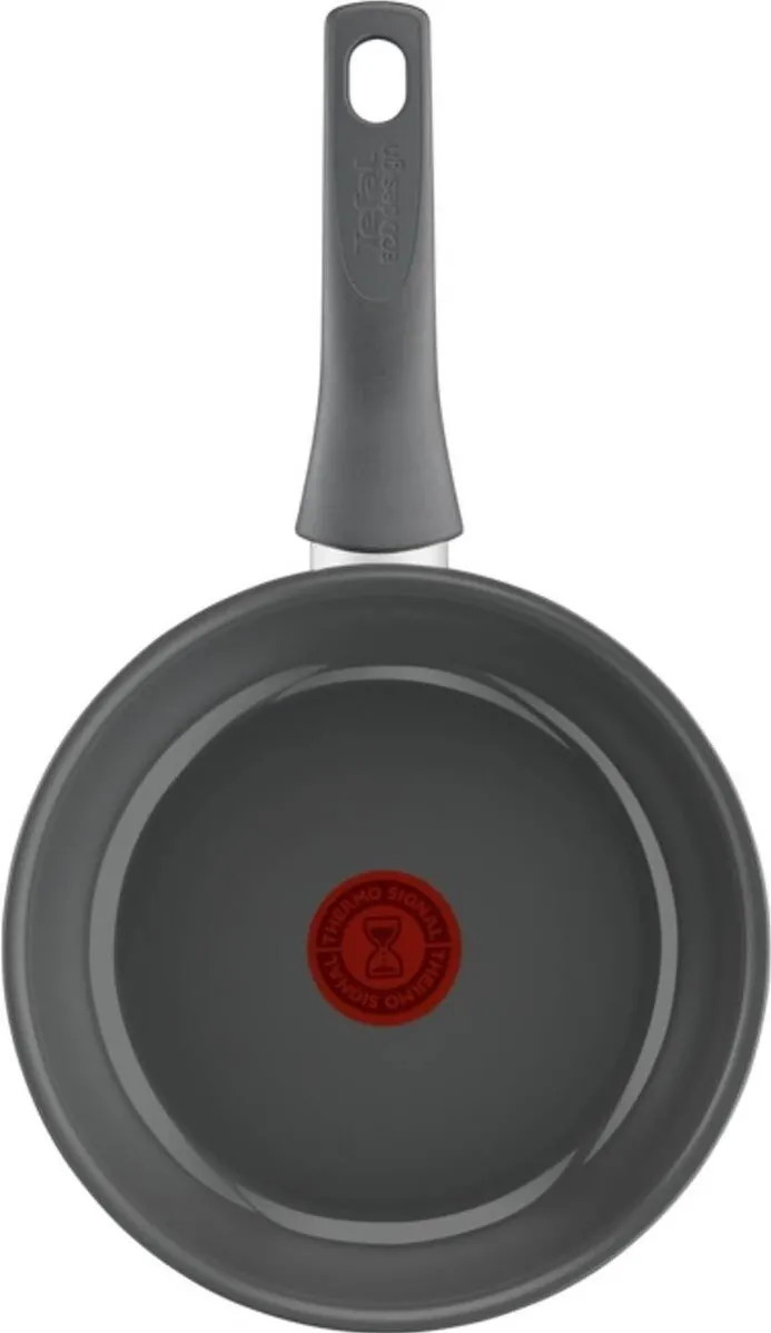 TEFAL C4260443 Renewal 24 cm Grey Induction Frypan
