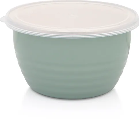 Metalac Recipient1.7l cu capac Standard Wave Verde Metalacemail/16cm/1.7l/capac din plastic/verde pastel