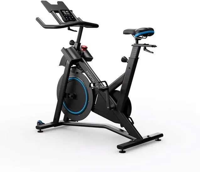 Horizon Fitness Horizon Fitness 7.0 IC Spinning bike Black