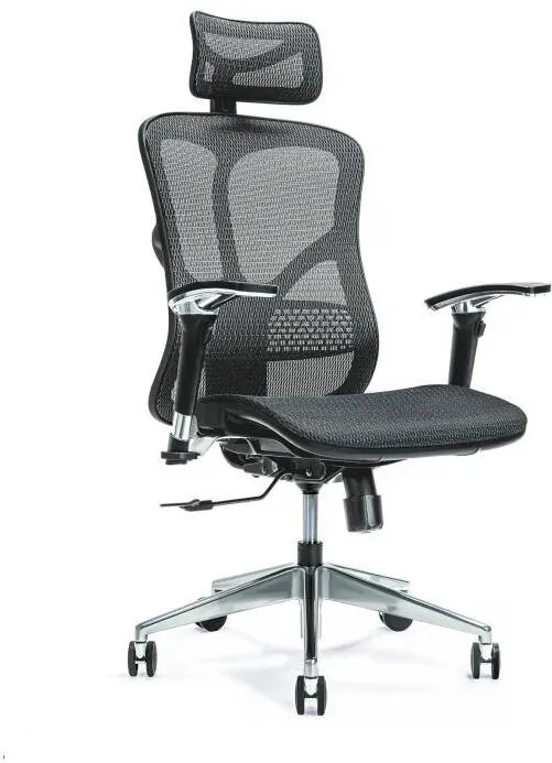 BEMONDI Ergonomic Scaun de birou ERGO 500 black
