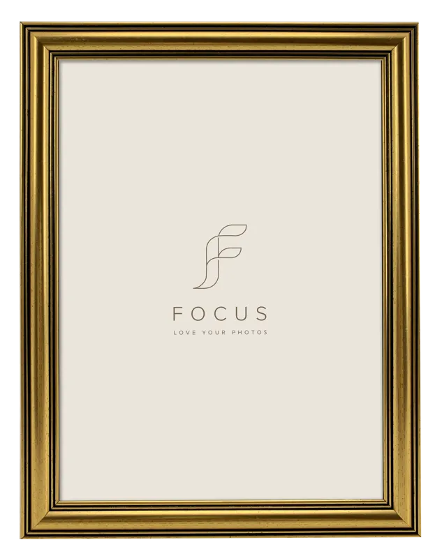 Rama foto FOCUS Holly Gold 20x30