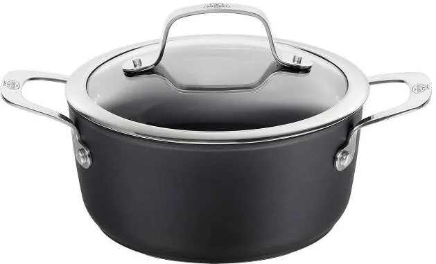 Vas Pentru Gatit BALLARINI Alba pot with lid titanium 2.7 L ALBG2LD.20D