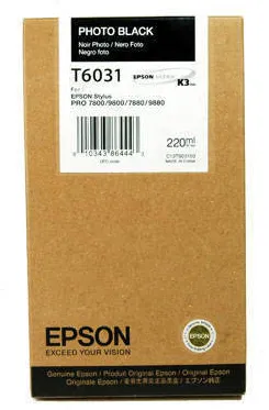 Cartus Imprimanta Epson T603100 Photo Black