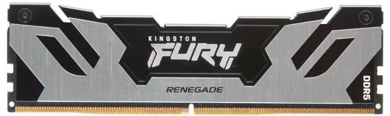 Memorie RAM Kingston FURY Renegade Silver 16GB DDR5 6400MHz CL32