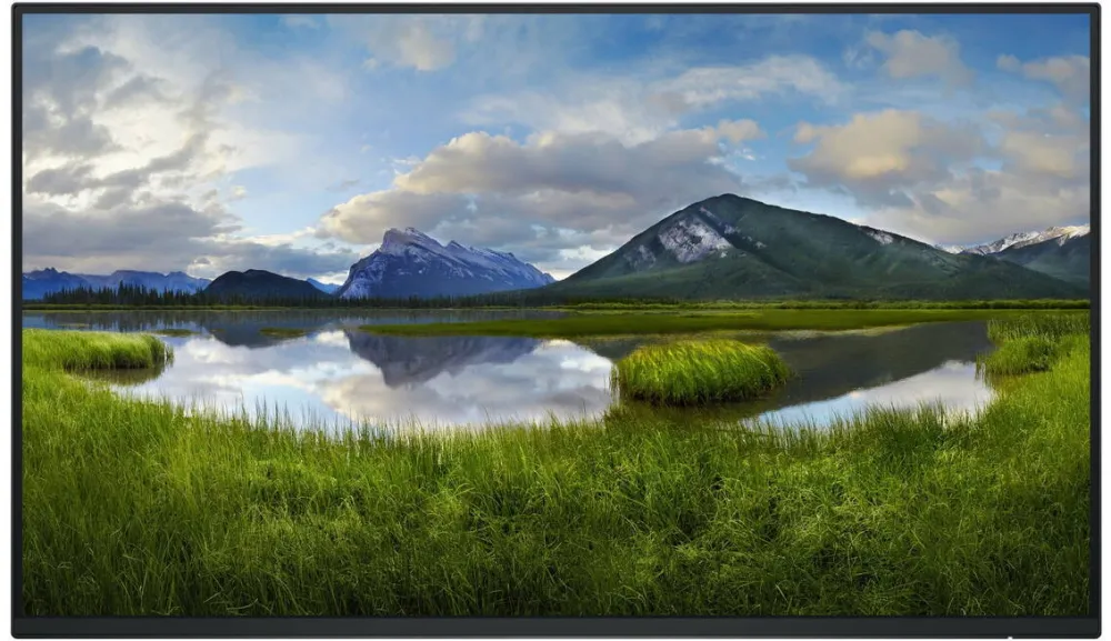 Monitor Dell Monitor LCD Dell P2425HE, 61 cm (24"), 1920 x 1080 px, Full HD, USB hub, negru