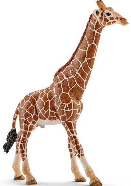Figurina Schleich Male giraffes