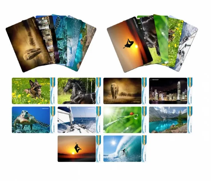 Mouse pad Esperanza EA133Multicolor