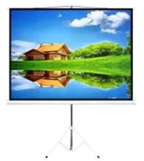 Ecran de proiectie MACLEAN 100" / portable/ Fixed / 4:3 200x150