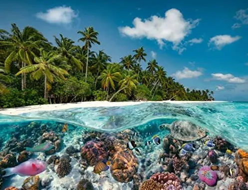 Puzzle Ravensburger Jigsaw Puzzle A dive in the Maldives (2000 pieces)