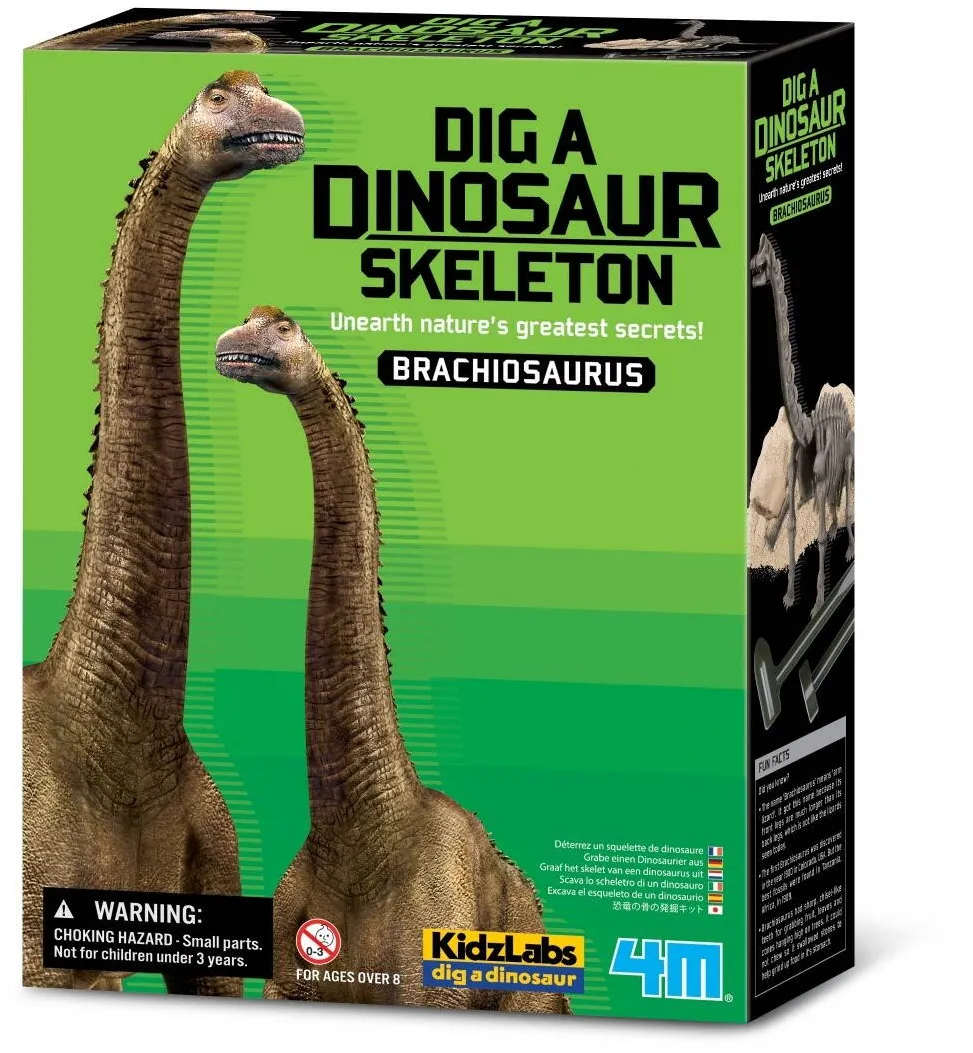 Jucarie Educativa 4m Excavation - Brachiozaur