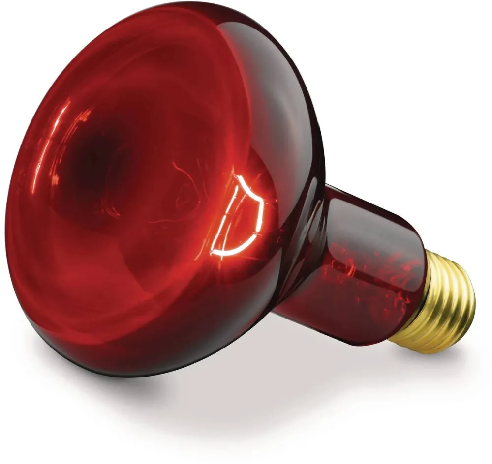 Beurer Bec pentru lampa cu infrarosu, Luka, 100W, Rosu