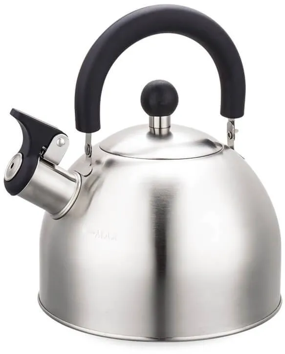 Maestro Fierbator 2,0L, model MR-1300