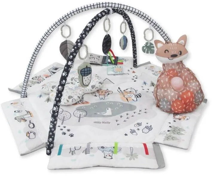 Milly Mally Centru de activitati multifunctional 5 in 1, Minky, Milly Mally