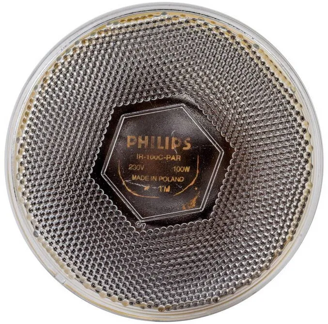 Philips Incalzitor cu infrarosu, Philips Lighting, Sticla, 230V, 100W, E27, Argintiu