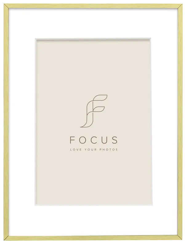Rama foto FOCUS Aster Gold 15x20/PP10x15