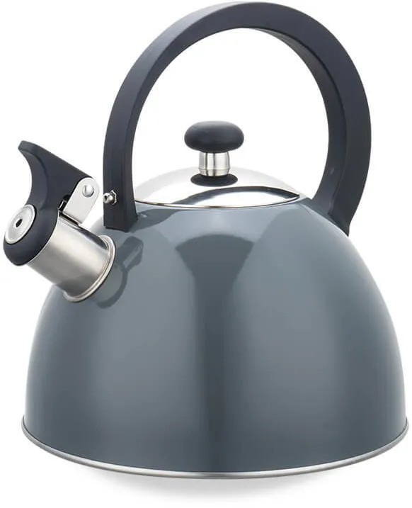 Maestro Fierbator 2,5L