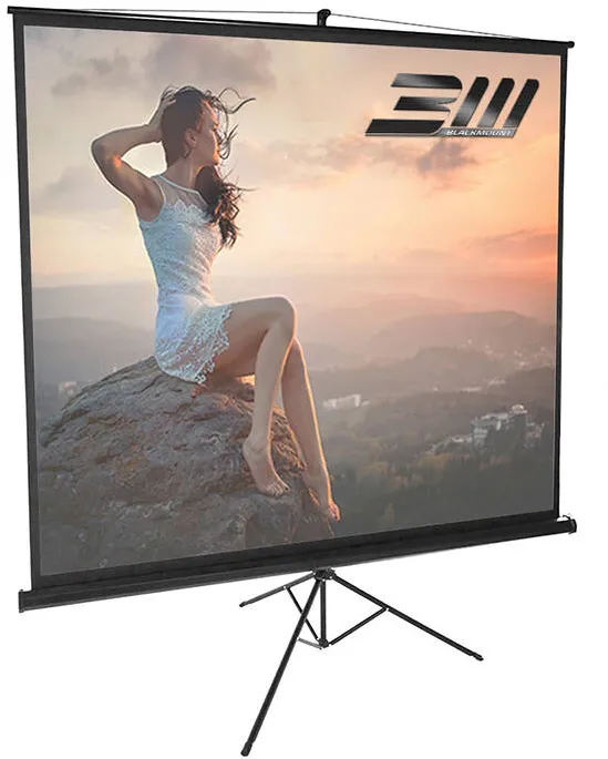 Ecran de proiectie Blackmount 1/1TR150-BM-ECRTRP, 150 x 150 cm