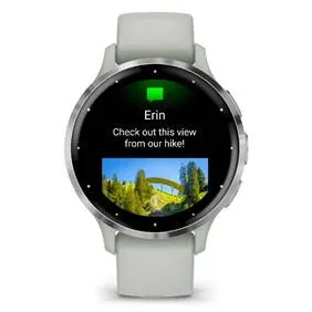 Smartwatch Garmin Ve 3S Sage Grey/Slate