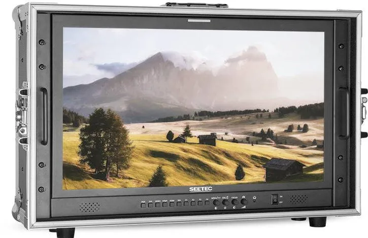 Monitor Foto / Video SEETEC Monitor P238-9HSD-CO Carry on