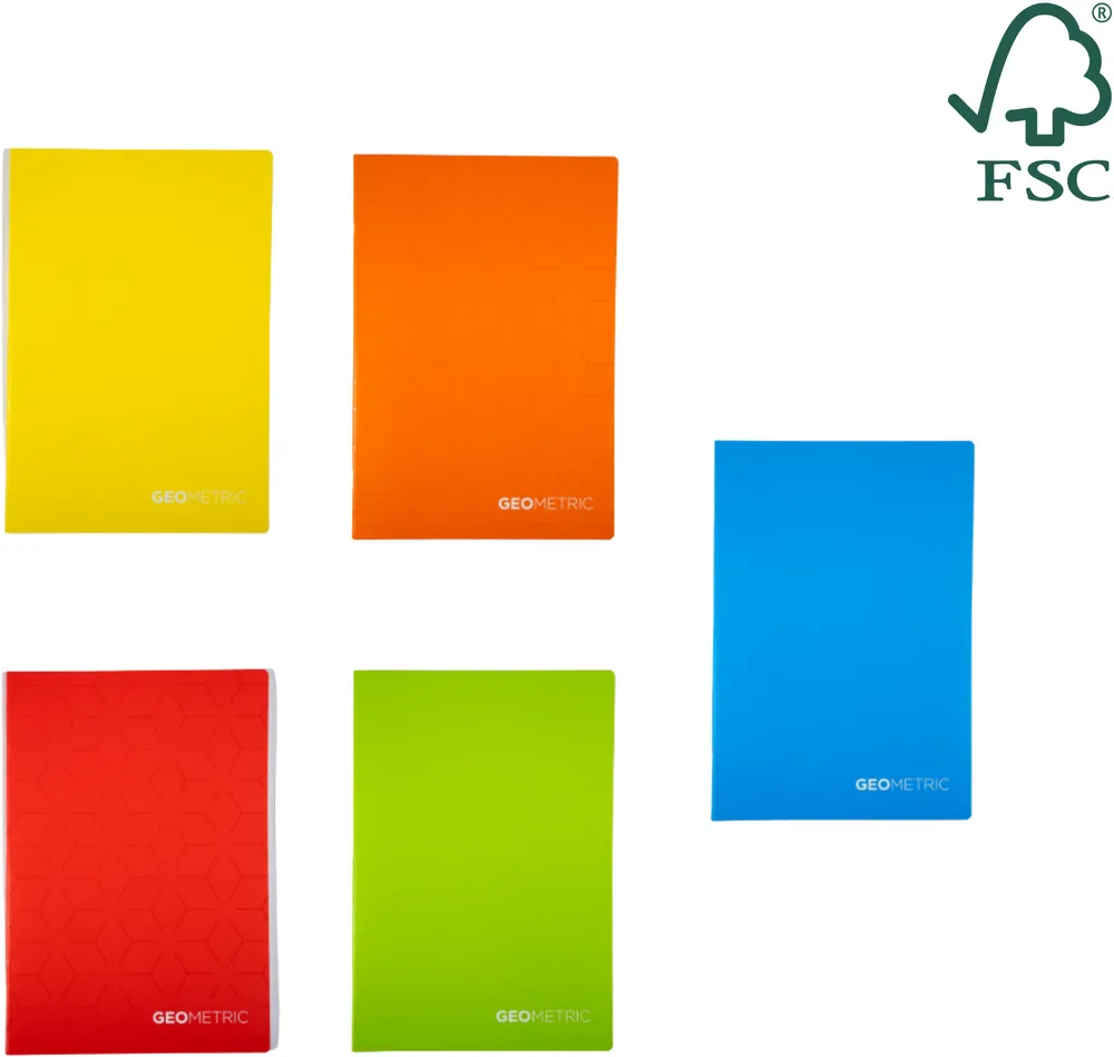 Caiete scolare import Caiet A4, 60 file, 80gsm, coperta carton 300gsm, design geometrics - matematica