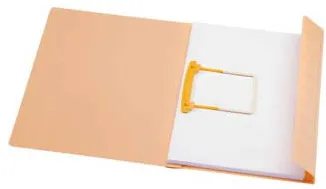 Djois Dosar carton color cu alonja arhivare de mare capacitate, DJOIS Secolor - chamois