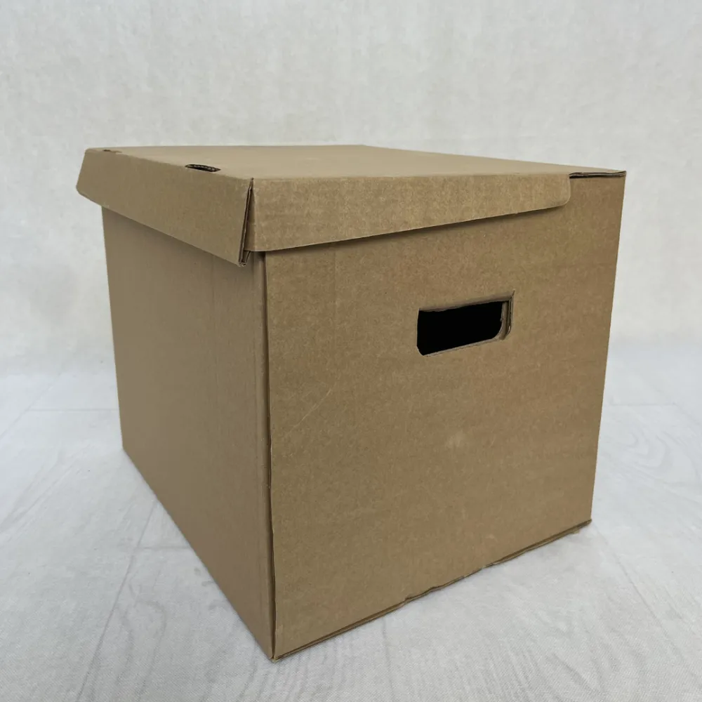 Alte prod locale hartie Container arhivare pentru 5 bibliorafturi, 335x300x300 mm