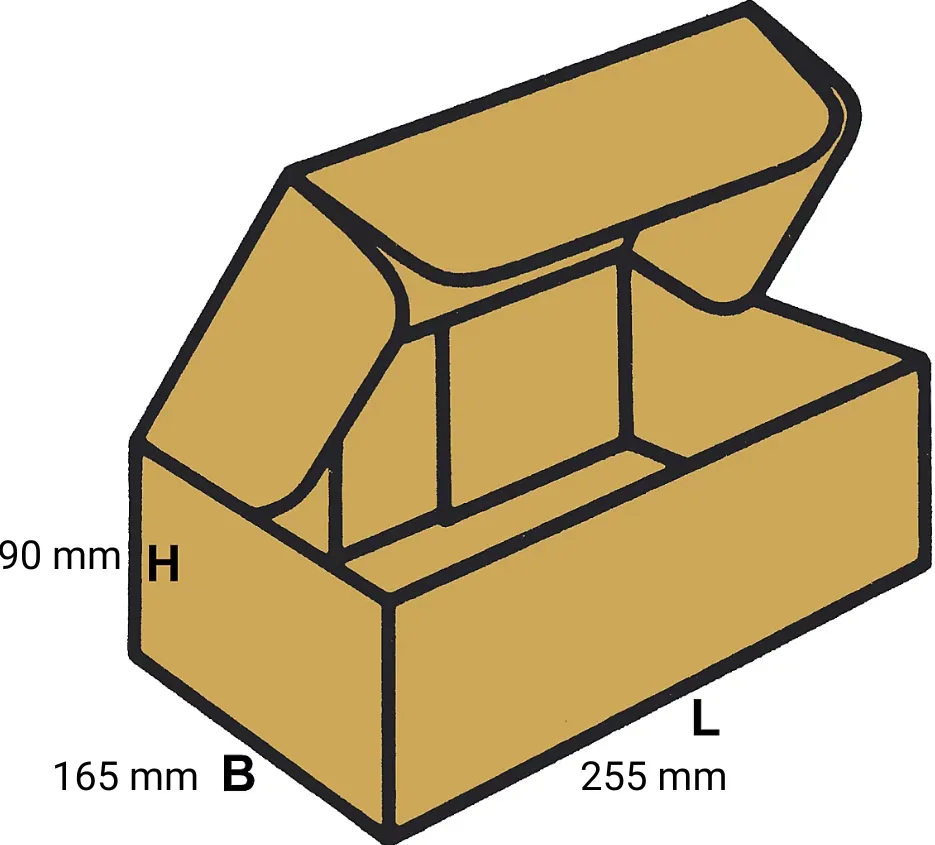 Alte prod locale hartie Cutie autoformanta cu clapeta din carton CO3, dim 255x165x90mm, structura CTFT 420g