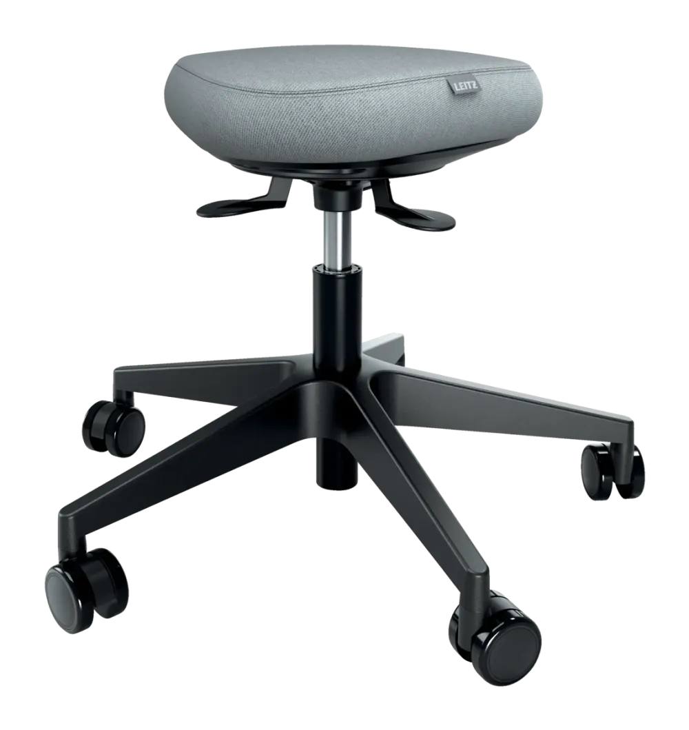 Leitz Scaun ergonomic Leitz Ergo, pozitie sezut/ in picioare, inaltime reglabila (47-60 cm), cu roti, gri