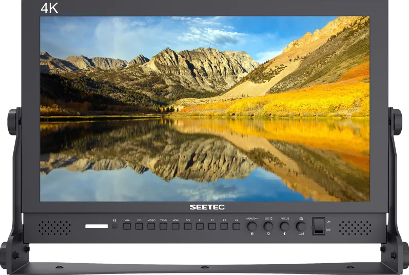 Monitor Foto / Video SEETEC monitor P173-9HSD 17.3"
